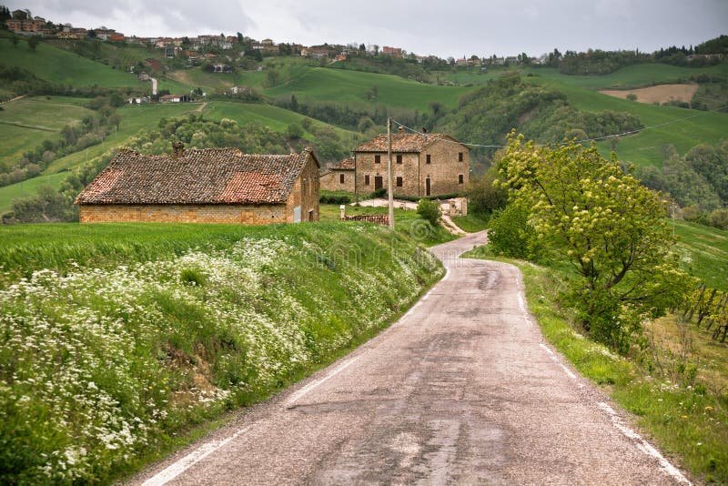 Chicken road ufficiale - L'Esclusivo Gioco di Gioco d'Azzardo: Chicken Road Italia è qui!