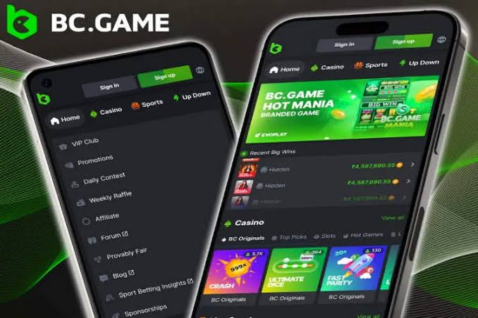 Recharge in BC.Game US Your Guide to Seamless Gaming Transactions
